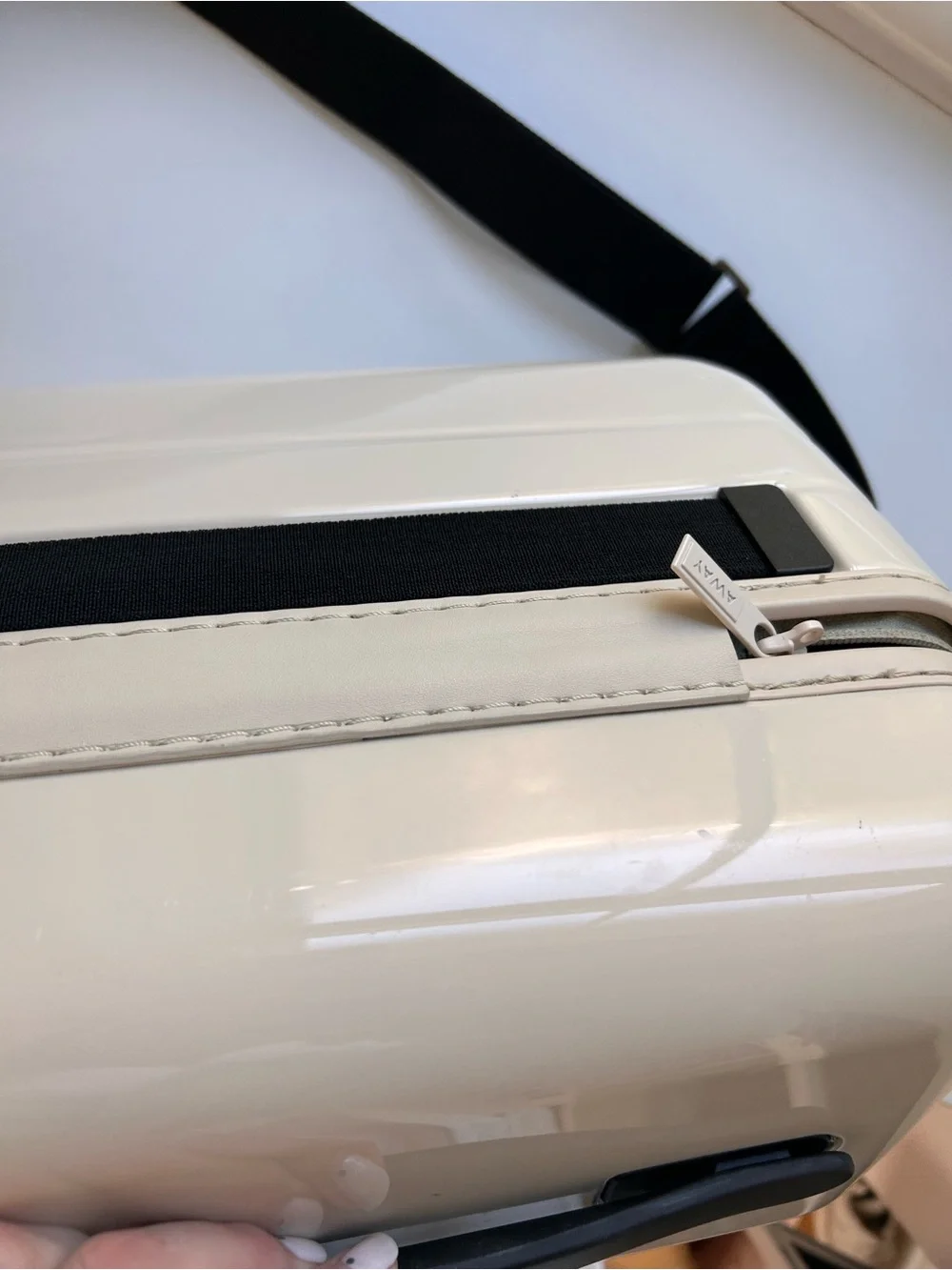 Away Train Case in Salt